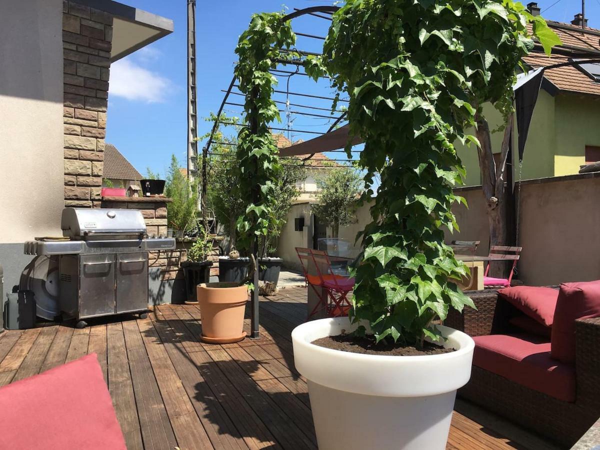 La Terrasse Selestadienne Sélestat Esterno foto