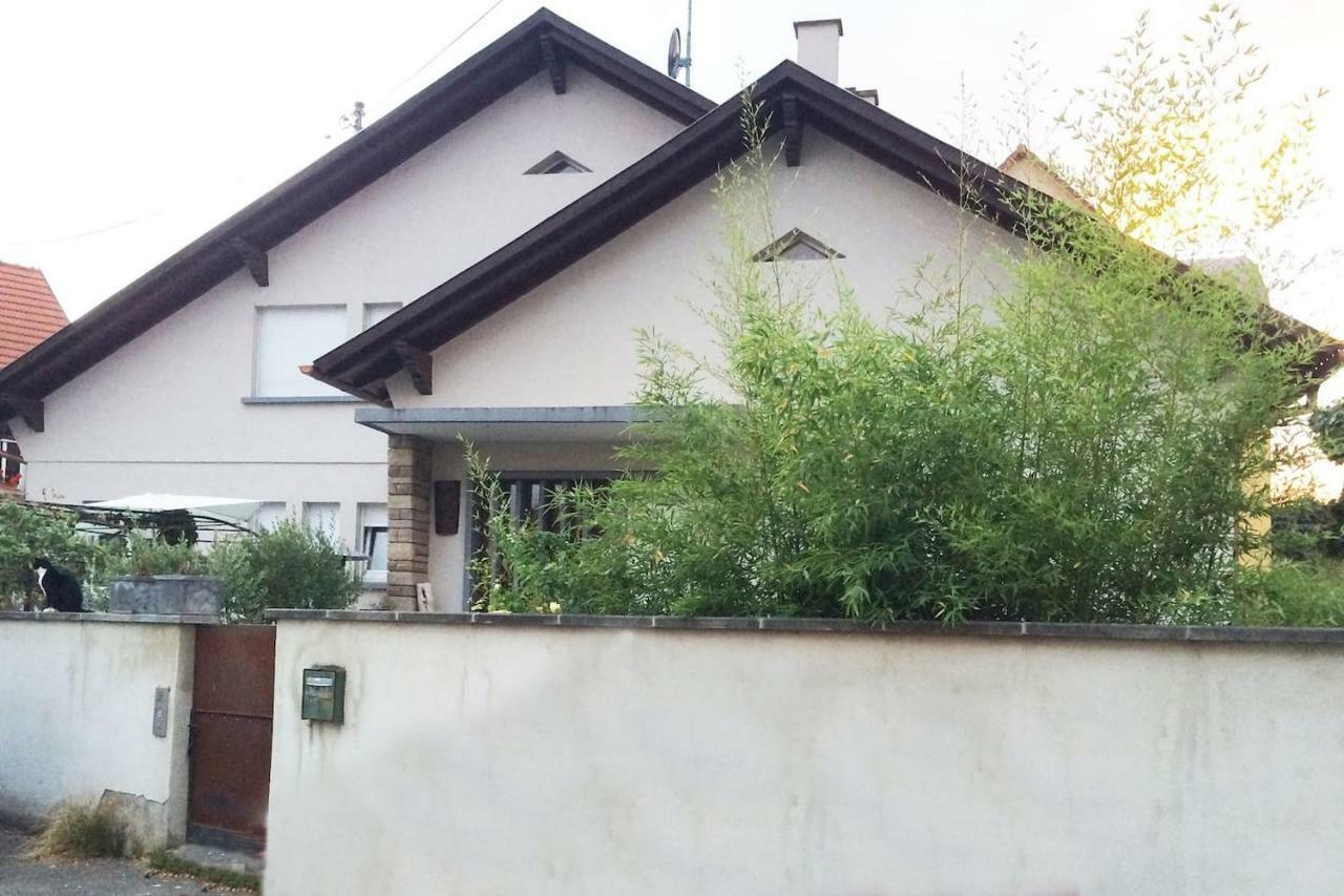 La Terrasse Selestadienne Sélestat Esterno foto