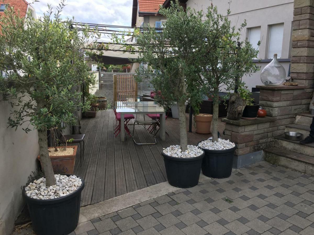 La Terrasse Selestadienne Sélestat Esterno foto